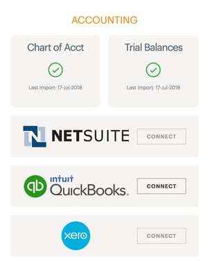 NetSuite import screenshot