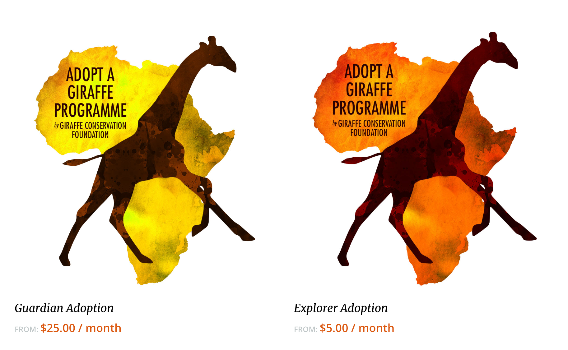 Help Support Giraffe Conservation | Jirav