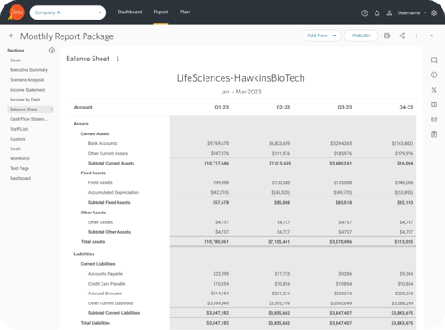 Report, View, Balance Sheet