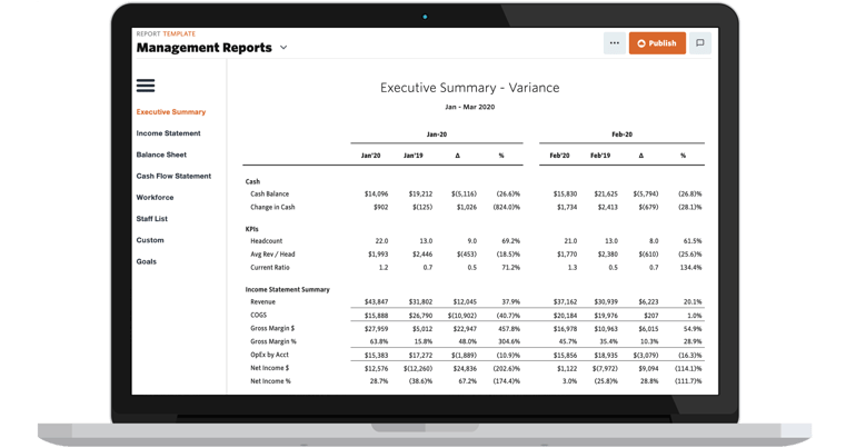 Example of Jirav's Executive Summary Variance report