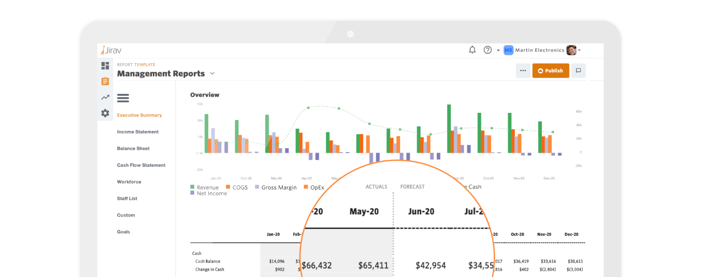 Executive Summary with 12 Month Rolling Forecast